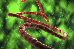 Kymab and the Wellcome Trust initiate Ebola project