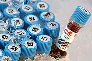 Labels for ultra-low temperature use