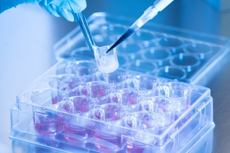 LabSkin and Aston University partner to develop lab-grown skin for wound research