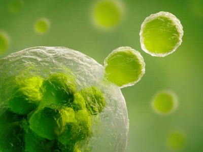 Leaps by Bayer invests in cancer vaccines