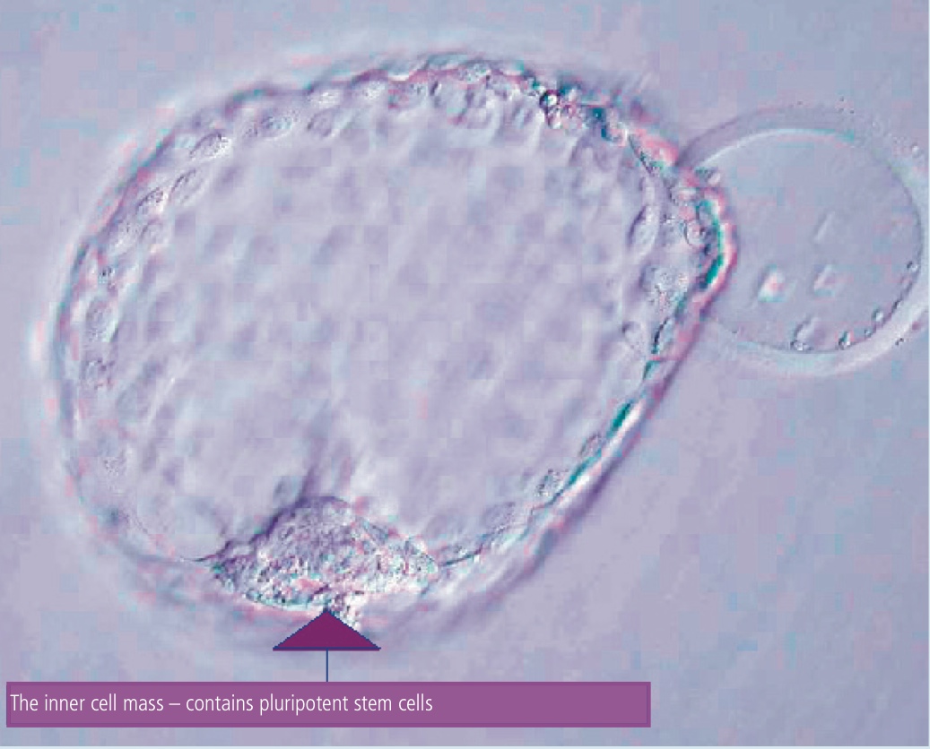 Leaps in science advance new medicinal therapies 