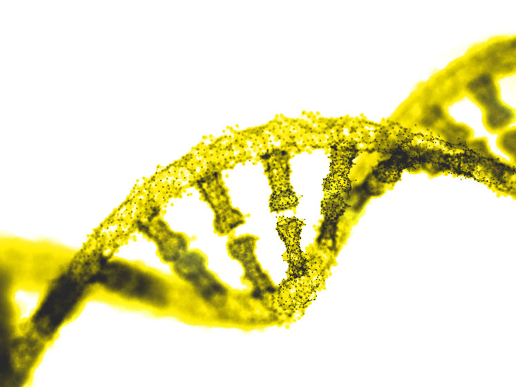 Lessons learned from the COVID-19 pandemic 