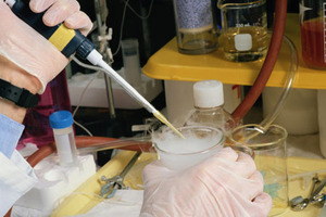 Let enzymes do the work