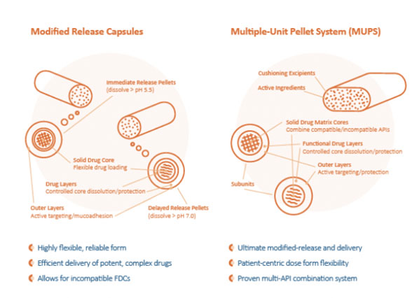 Leveraging extrusion-spheronisation to fast-forward complex oral solid dose form manufacturing
