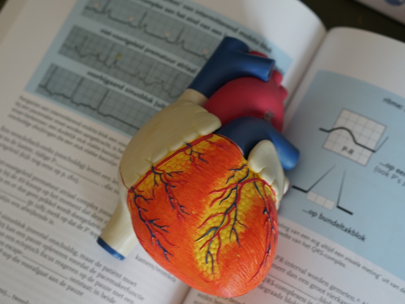 Lilly set to acquire Versanis Bio to "improve patient outcomes in cardiometabolic diseases"