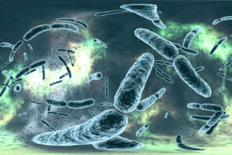 LNC Therapeutics forms advisory board for Christensenella research