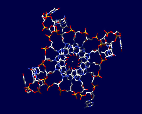 Lonza advances integrated DNA‑to‑IND programmes with acceleration, derisking and innovation