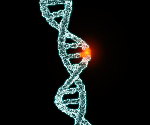 Lonza advances integrated DNA‑to‑IND programmes with acceleration, derisking and innovation