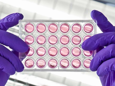 Lonza launches CellBio Services