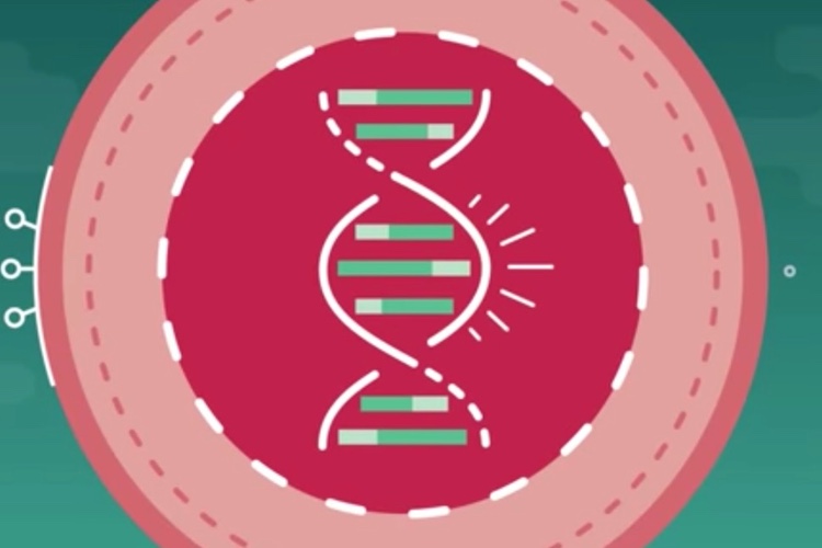 Lonza opens world's largest cell and gene therapy manufacturing facility