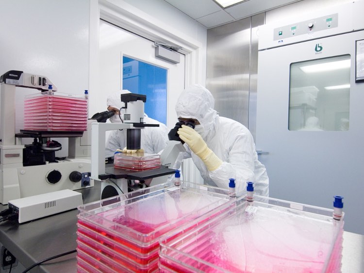 Lonza reveals process development roadmap for cell and gene therapies 