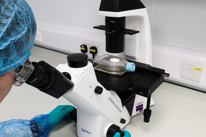 Lucideon’s new in vitro cell lab accelerates next-generation capability