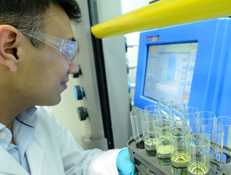 Lunac chooses Domainex for novel anticoagulant drug discovery services