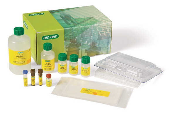Magnetic bead-based assays increase speed and precision in cytokine research