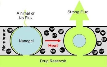 Magnetism provides on/off switch for drug delivery 