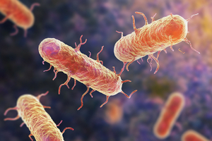 Mass antibiotic use may increase drug resistance in life-threatening bacterial strains, study finds