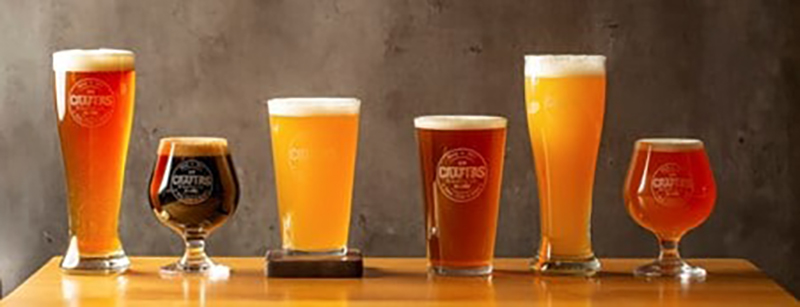 Measuring colour and bitterness of beer using CamSpec M508 UV-Vis Spectrophotometer