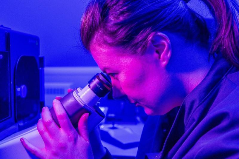 Medicines Discovery Catapult announces collaboration with £15.9m project on next-gen human disease modelling
