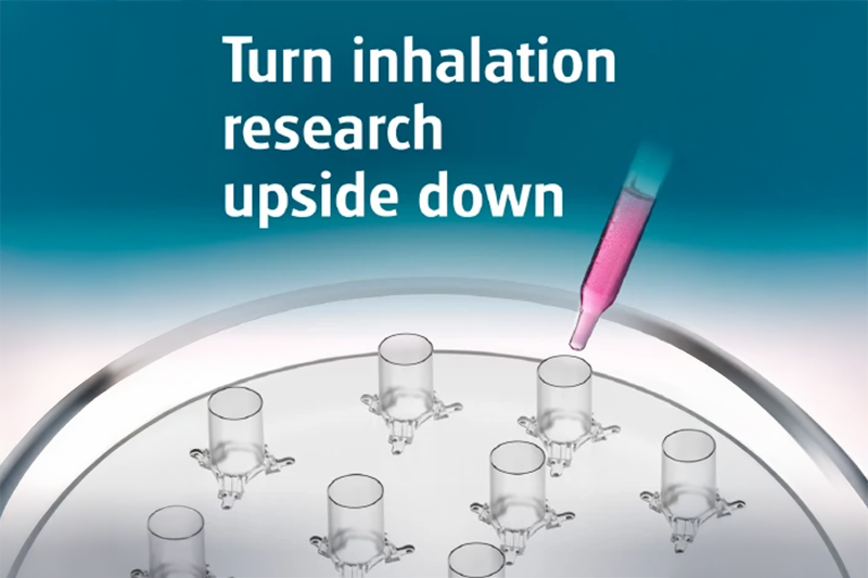 Meet Navetta: new approach to safety testing of drugs and particles