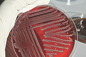Meeting regulatory expectations