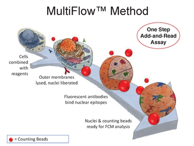 Merck introduce new screening service for genotoxic substances