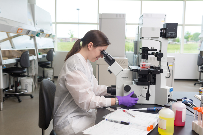 Merck offers rhabdovirus-free insect platform for viral vaccines and gene therapy development