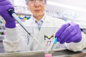 Merck partners with Promega to advance 3D cell drug discovery technologies