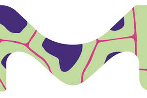 Merck will develop Domain Therapeutics next generation adenosine receptor programs 