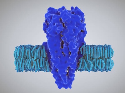 Metrion acquires rights to potassium channel inhibitors 