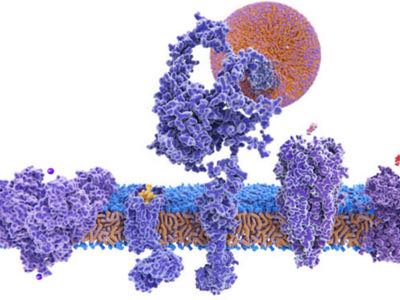 Metrion and LifeArc team up on neurological pathogenesis gene 
