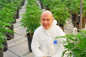 Michael Sassano: the man bringing US cannabis know-how to Europe 