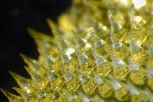Microneedle drug delivery could draw blood and other fluids out of the skin
