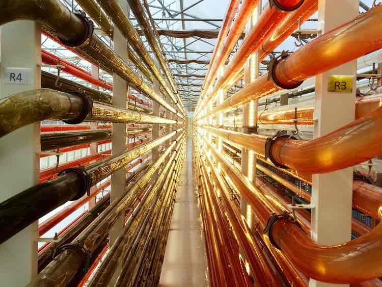 Microphyt gets cash injection to boost sales network and production