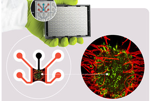 MIMETAS and Yamaha Motor Sign Joint Marketing Agreement Aimed at Advancing Therapeutic Development