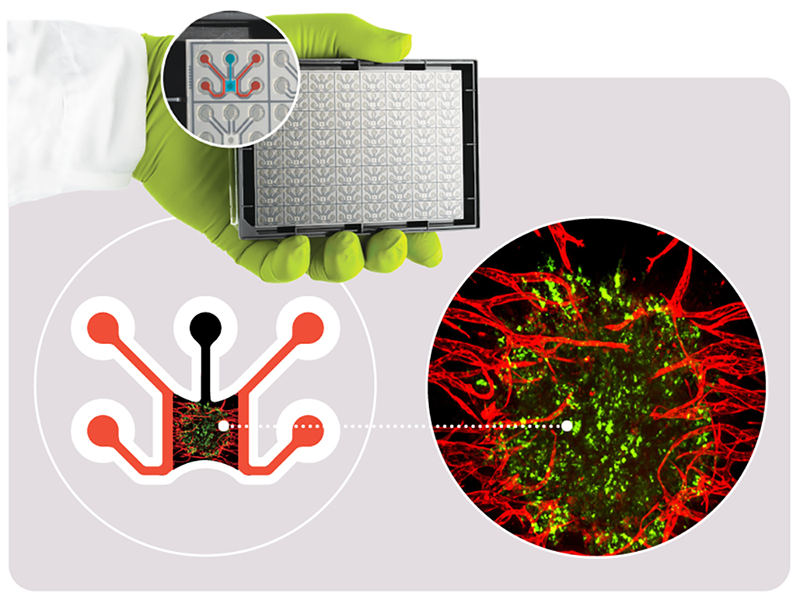 MIMETAS and Yamaha Motor Sign Joint Marketing Agreement Aimed at Advancing Therapeutic Development