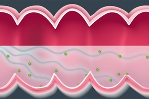 MIT researchers use ultrasound to improve drug delivery