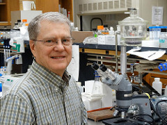 Molecule to combat antibiotic resistance found