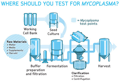 Monitoring mycoplasma