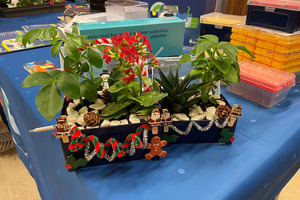 More than 3000 cacti send a clear message for sustainable lab practices