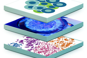 Multidimensional data analysis platforms: meeting new FDA calls for consistent evidence from CGT developers