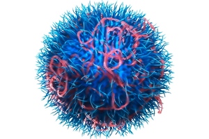 N4 Pharma enters final pre-clinical stage for novel silica delivery system