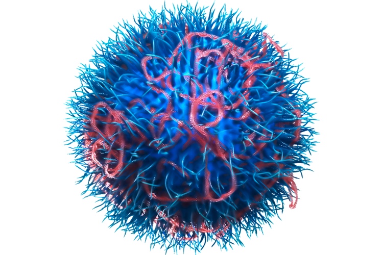 N4 Pharma enters final pre-clinical stage for novel silica delivery system