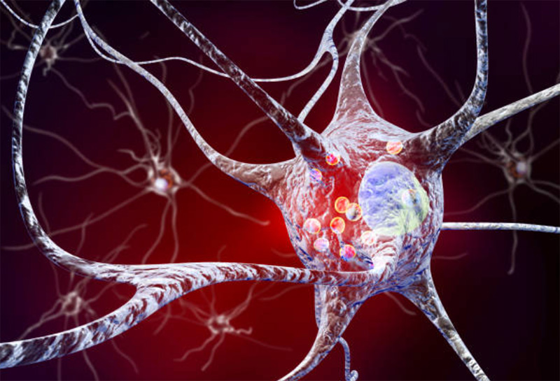 Nanoform and Herantis sign biologics proof of concept agreement