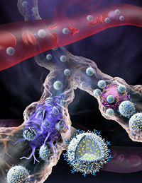 Nanogels offer new way to attack lupus