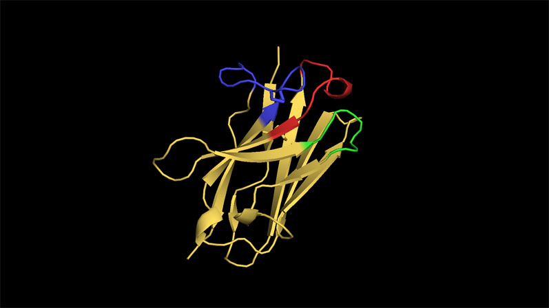 NanoMab appoints Paul Edwards as CEO and sets up in UK to prepare for European clinical trial programme
