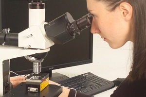 Nanoparticle tracking system characterises polymer nanoparticles used as drug carriers