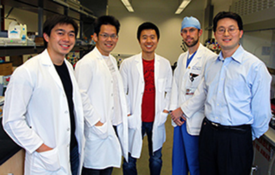 Nanosponges destroy toxins released by bacteria