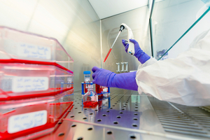 Naobios and the European Vaccine Initiative team up to manufacture a RSV challenge agent
