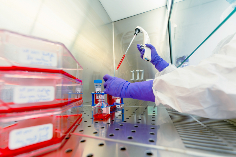 Naobios and the European Vaccine Initiative team up to manufacture a RSV challenge agent