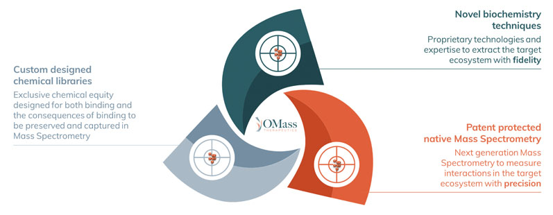 Native mass spectrometry as a drug discovery engine
